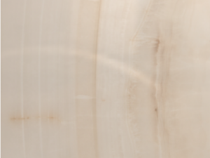 Opal Bone 60 x 120