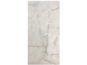 Aquarius Onix Gray 60x120