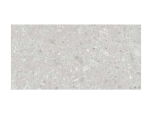 Ceppo Bianco 60x120