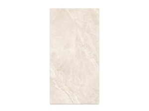 Swan Bone Polish 60x120