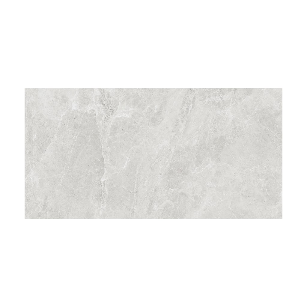 Swan Gray Polish 60x120 1